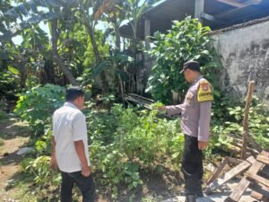 Warga Sugihwaras Kembangkan Lahan Pekarangan Jadi Sumber Pangan Mandiri