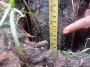 Keabsahan Tiang Wi-Fi “Pink” CBNFiber di Rajeg Dipertanyakan, Diduga Langgar Aturan