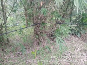 Diduga Ada Pembiaran, Kabel PLN Terjuntai di Curug Langlang, Nyawa Warga Terancam
