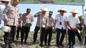 Polres Nganjuk Dukung Program Jagung Serentak Kuartal IV dan Wujudkan Kesejahteraan Petani