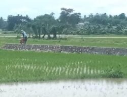 Diduga Ada Tangan Kotor Bermain! Turap Dangdeur Berjalan Tanpa Jejak Transparansi