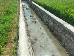 Tembok Penahan Tanah di Wilayah  Desa Sukamurni dan Desa Sentul Jaya, Diduga Asal Jadi Demi Kejar Target