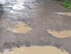 Infrastruktur Terbengkalai, Warga Desa Daon Keluhkan Lambannya Respons Pemerintah Desa