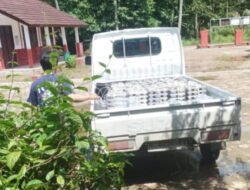 Barisan Pemuda Lokal Desak Penindakan Tegas Dapur MBG di Desa Perdana – Sukaresmi yang Gunakan Angkutan Bak Terbuka