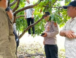 Warga di Sekitar Villa Permata Gelam Jaya, Dikejutkan Seorang Lansia Gantung Diri di Sebuah Pohon