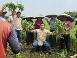 ‎DPD Tani Merdeka Indonesia Kabupaten Tangerang Apresiasi Program Makan Bergizi Gratis Membawa Perubahan Nyata Bagi Petani di Tangerang