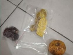 Warga di Desa Cikande, Kecamatan Jayanti, Menyampaikan Tuntutan Kepada Satuan Pelayanan Pemenuhan Gizi (SPPG) agar Segera Memperbaiki Menu Makan Bergizi Gratis (MBG)