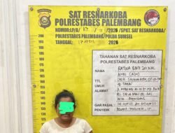 Sikat Peredaran Gelap Narkotika, Satresnarkoba Polrestabes Palembang Amankan IRT dan Paket Sabu