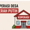 Klarifikasi Terkait Viral Harga Tabung Gas 3 Kg Di Koperasi Merah Putih Ciakar.
