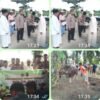 ka Polres Rohil Hadiri Pemotongan Hewan Qurban di Bagan Cempedak, Berupa Sumbangan Kapolda Riau