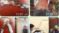 Berkat Sinergi Antar-Polres, Polda Sumsel Berhasil Seret Pelaku Pembunuhan ke Ranah Hukum