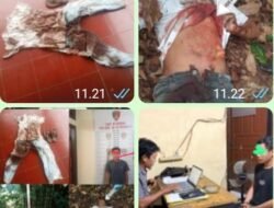 Berkat Sinergi Antar-Polres, Polda Sumsel Berhasil Seret Pelaku Pembunuhan ke Ranah Hukum