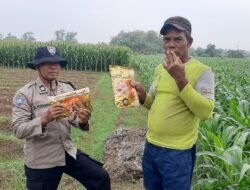 Dukung Swasembada Pangan, Bhabinkamtibmas Polsek Nganjuk Kota Bagikan Benih Jagung Bhayangkara kepada Petani
